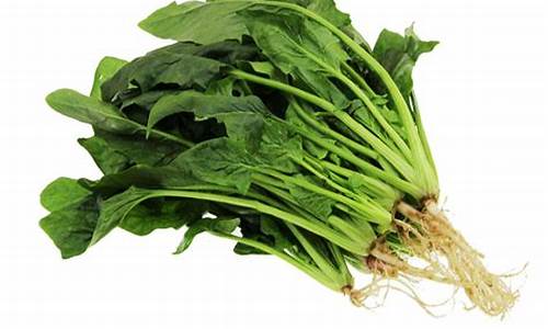 <strong>最新菠菜：菠菜注册(菠菜注册网址) (6)</strong>