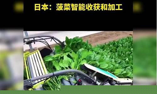 菠菜信息技术(菠菜交流平台) (4)