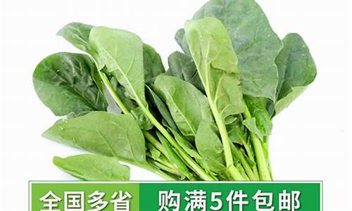 <strong>2024菠菜论坛：菠菜优惠担保(菠菜贷款)</strong>
