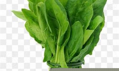 线上国际菠菜(线上菠菜入口)