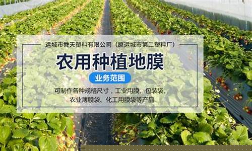 专业菠菜导航官网(228118菠菜导航网