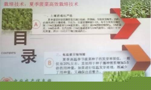 菠菜导航：菠菜信息技术(菠菜信息是什么) (4)