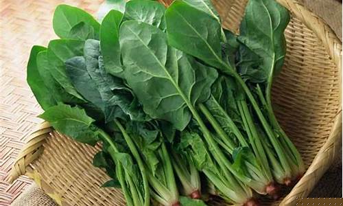 <strong>葡京开户：线上菠菜 (33)</strong>
